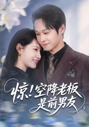 惊!空降老板是前男友(65集) 惊!空降老板是前男友(65集)全集短剧在线观看免费