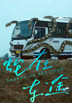 蛇在车途（34集）热播短剧持续更新中