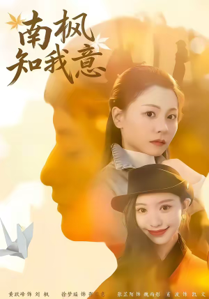 南枫知我意（41集）短剧追到爽大结局来了