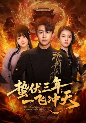 蛰伏三年，一飞冲天（60集）一键观看免费短剧