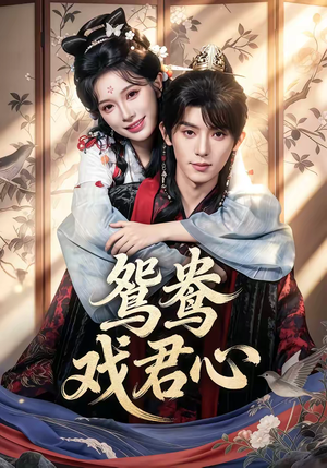 鸳鸯戏君心（60集）这个短剧最近超火