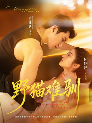 野猫难驯（73集）每天分享不一样短剧剧情