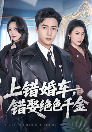 上错婚车，错娶绝色千金（80集）好看的短剧电视剧