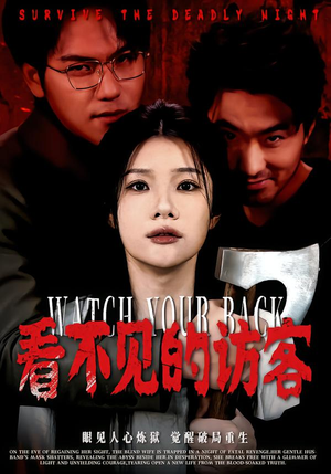 看不见的访客（62集）在线观看全集免费短剧