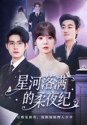 星河落满的柔夜纪（88集）每日坚持分享短剧