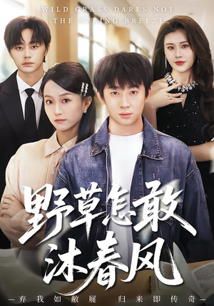 野草怎敢沐春风（61集）好看又上头的短剧来了