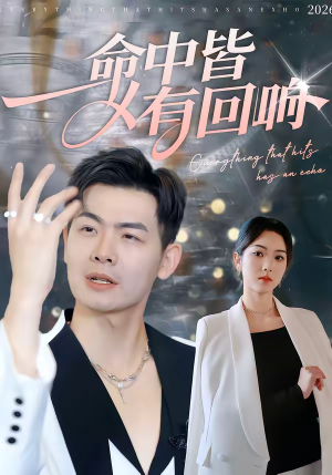 命中皆有回响（62集）推荐热门短剧全集