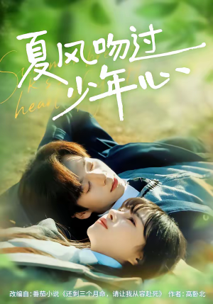 夏风吻过少年心(76集) 夏风吻过少年心(76集)一口气看到最新短剧大结局