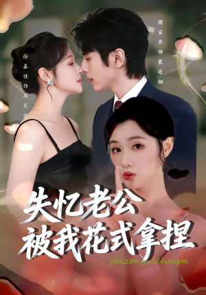 失忆老公被我花式拿捏（86集）短剧免费在线看全集