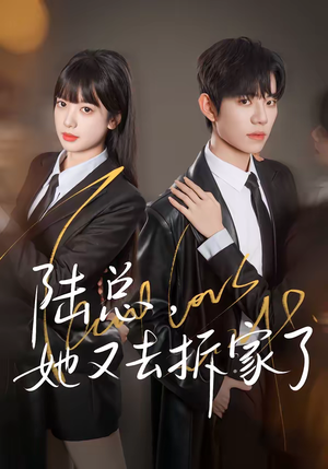 陆总，她又去拆家了（80集）越看越好看短剧