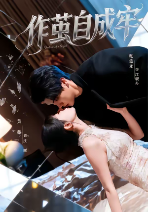 作茧自成牢（52集）看完还想看的精彩短剧