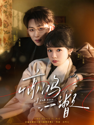 惊鸿一瞥（72集）火热短剧正在热播