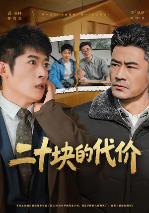 二十块的代价（64集）排行榜前十的短剧