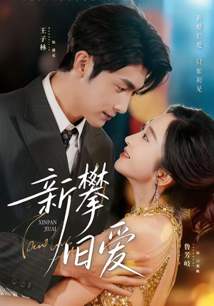 新攀旧爱（67集）大结局一气呵成的短剧精选