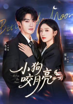 小狗咬月亮（66集）穿越短剧免费看全集