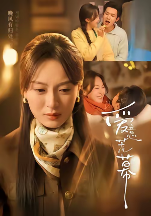 爱意荒幕（70集）好看短剧追不停