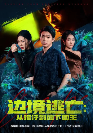 边境逃亡：从猪仔到地下国王（81集）随时随地想看就看短剧