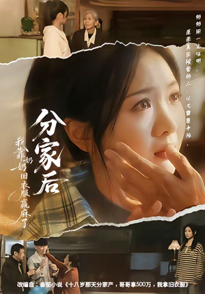 分家后我靠奶奶旧衣服赢麻了（59集）精彩不断短剧免费看