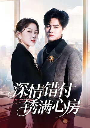 深情错付锈满心房（60集）短剧小说在线看