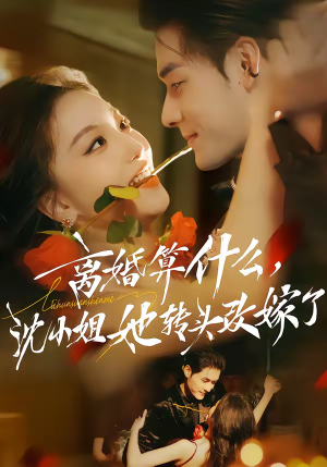 离婚算什么，沈小姐她转头改嫁了（81集）短剧免费看全集