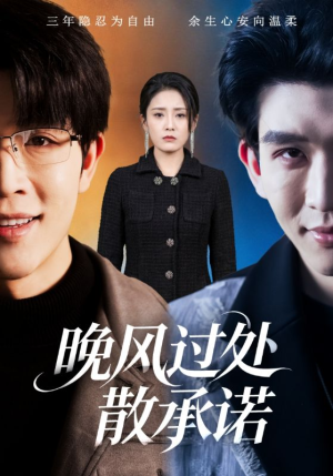 晚风过处散承诺（65集）全集短剧免费在线观看