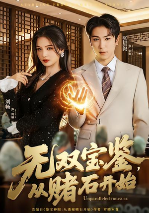 无双宝鉴，从赌石开始（70集）好看短剧看不停