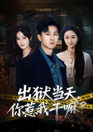 出狱当天，你惹我干嘛？（62集）红果短剧看全集