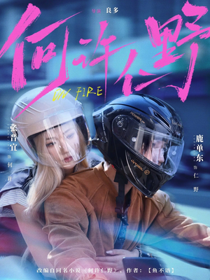 何许仁野（60集）全集免费在线观看短剧无广告