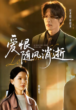 爱恨随风消逝（60集）排行榜前十短剧任你看