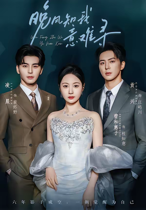 晚风知我意难寻（60集）免费短剧观看爽翻天