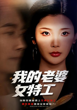 我的老婆女特工（62集）男频热门短剧片段