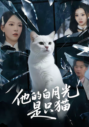 他的白月光是只猫（69集）全部免费看短剧的网站汇总