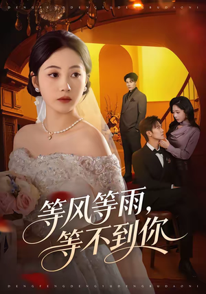 等风等雨，等不到你（65集）免费观看热门短剧大结局