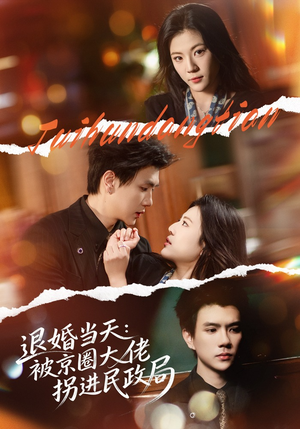 退婚当天：被京圈大佬拐进民政局（80集）精彩热播短剧抢先看