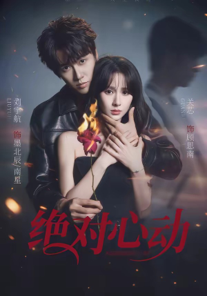 绝对心动（66集）短剧推荐正在热播