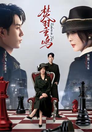 焚羽重鸣（60集）每日分享不一样的短剧