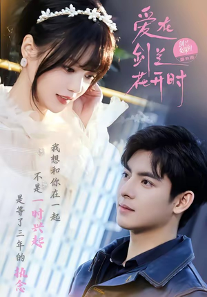 爱在剑兰花开时（56集）短剧终极大放送合集