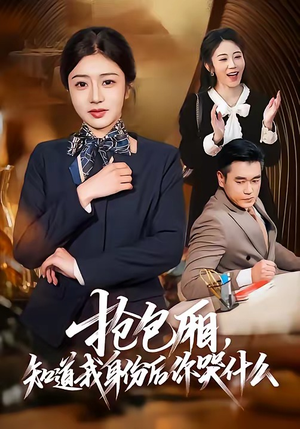 抢包厢，知道我身份后你哭什么（70集）最新上映的短剧