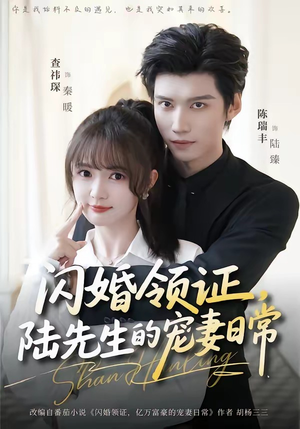 闪婚领证，陆先生的宠妻日常（86集）在线观看短剧完整版