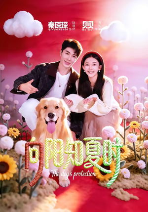 向阳知夏时（80集）每日热门短剧推荐