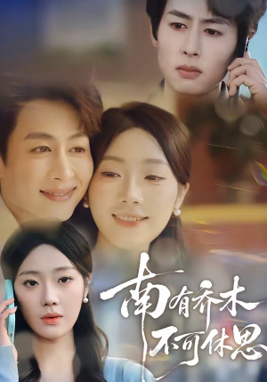 南有乔木，不可休思（68集）好看又上头的短剧来了