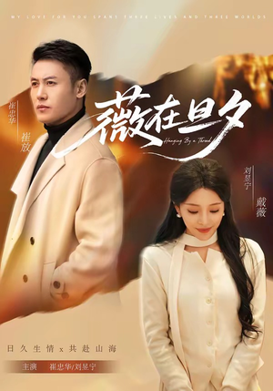 薇在旦夕（80集）全网独播短剧免费观影