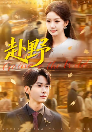 赴野（40集）全集免费看短剧