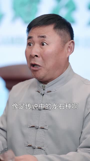 透视神医混花都（80集）短剧全集免费真的太好看了