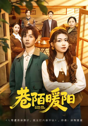 巷陌暖阳（80集）热门短剧好看又上头