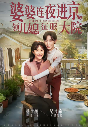 婆婆连夜进京，领儿媳征服大院（78集）短剧前十排行榜