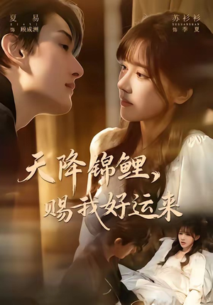 天降锦鲤，赐我好运来（60集）分享好看的短剧