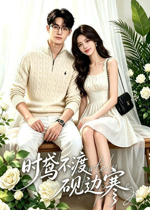 时鸢不渡砚边寒（41集）剧好看短剧推荐