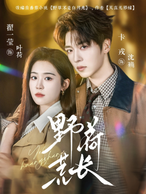 野荷荒长（86集）热门短剧在线观看