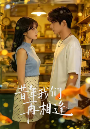 昔年我们再相逢（40集）红果短剧app免费看